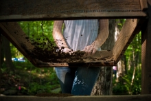 soil sifting at Harvard Forest 