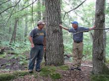 Landowners in the Woods