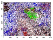 Map of the most abundant tree species in the ForestGEO plot, shown in patches of blue, red, and green