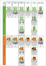 Figure from Nature Ecology and Evolution