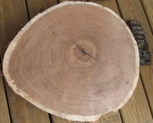 old-growth rings