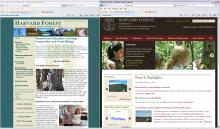 Screenshots from the new Harvard Forest website
