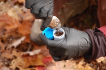 Process of taking soil sampling.