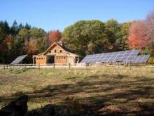 Harvard Forest solar panels