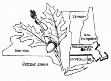 Map of New England 