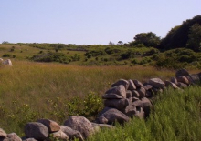 Openland and stone wall