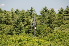 Harvard Forest EMS tower