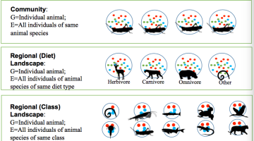 Image shows three scales in terms of grain and extent, from microbe's eye. By Zhanshan (Sam) Ma and Aaron Ellison.