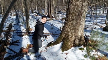 Image shows Blumstein collecting a tree core from an oak. 