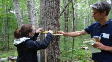 Image shows a student measuring tree diameter with the help of an educator.