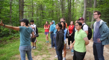 a group of Harvard students observe a field research site on a forest tour in summer