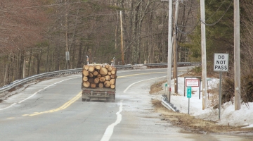 Image shows logs on the back of a logging truck on a forested state road. By David Foster.