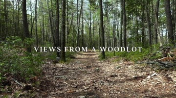 Image shows a path through the woods with the words "Views From a Woodlot" in white text. Photographer unknown. 