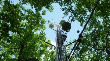 An eddy-flux tower amid a green forest canopy