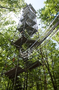 A observation tower at Harvard Forest.