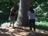 Image shows Schoolyard Ecology instructors practicing the Witness Tree tool next to a large tree.