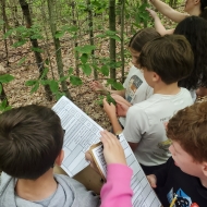 Image shows several students collecting data outside.