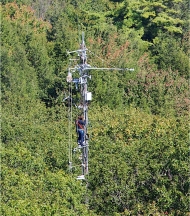 Air sampling above the canopy at Harvard Forest