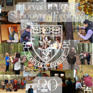 Image shows a collage of photographs showing educators and students in the field. 