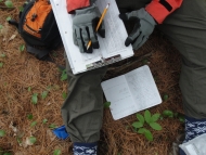 A scientist sits on the forest floor, writing data on a clipboard