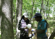 Students standing in the woods making observations.