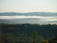 A landscape that includes trees, mountains and fog.