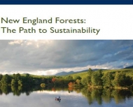 NEFF Path to Sustainability report