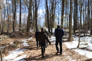a group of scientist walk down a forest trail in winter with sparse snow on the ground
