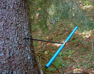 An increment borer used for tree coring.