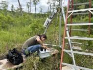 Image shows Sam Jurado, principal author, installing research equipment in a forested wetland. By Jackie Matthes.