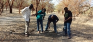 Image shows 2023-2024 Bullard Fellow Ahmed Siddig, center right, discussing plans with Sudanese colleagues.