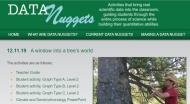 screenshot of Data Nugget website showing title (A window into a tree's world) and image of scientist Neil Pederson extracting a tree-ring core from the trunk of an evergreen tree