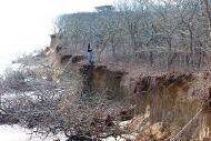 Wasque beach erosion - photo by Rose Lincoln of the Harvard Gazette
