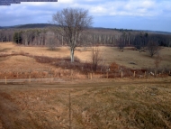 The view from one of the research cameras showing an open pasture. 