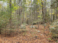 a forest view with variously sized boulders along the forest floor 