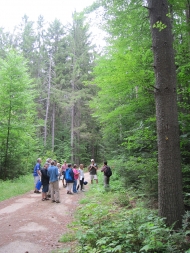 Teachers and students standing in a group in the woods.