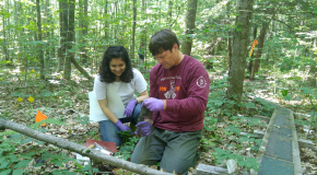 Summer Student and mentor collect data
