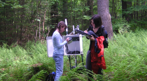 Summer Research Program Students Download Streamflow Data