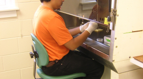 Summer Research Program Microbial Analysis Research