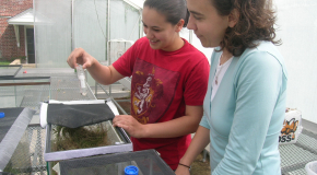 Summer Research Program Student Conducts Carnivorous Plant Research