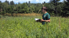Summer Research Program Student Locates Off-Site Ragweed