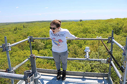[On a walk-up tower examining phenology (aka pretending to fall).]