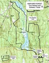 Tom Swamp Map