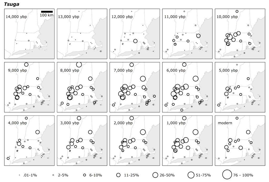 Series of maps with circles indicating hemlock pollen abundance at 1000 year intervals