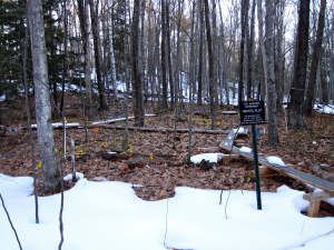 A sign marks a research plot in the woods. Small flags of various colors rise out of the leaf litter on the forest floor. Outside of the plot there is snow on the ground.