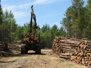 a logging forwarder parked next to a stack of logs