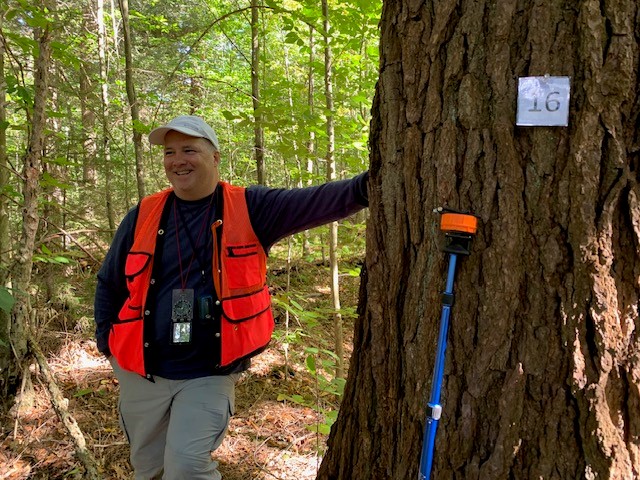 A man wearing a blaze orange vest leans on a large tree