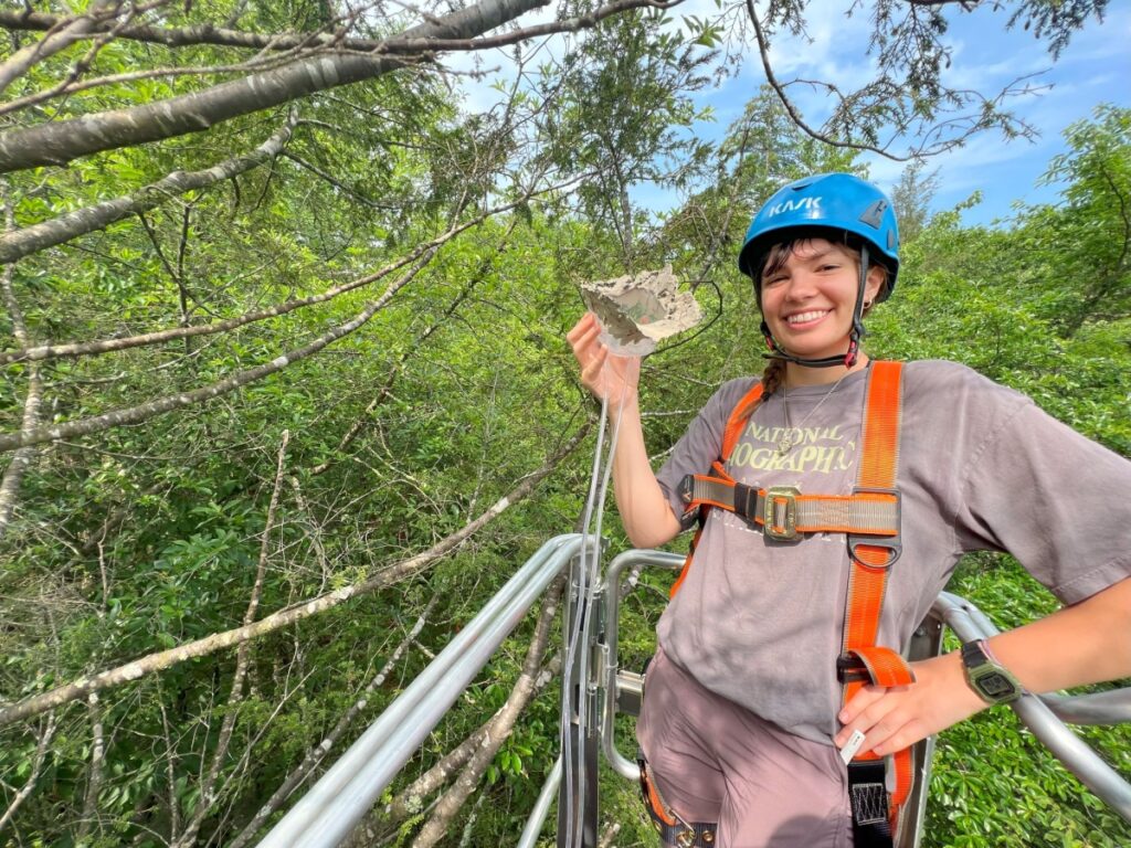 A researcher wearing a helmet and safety harness hold a piece of scientific equipment while on a canopy lift elevated into the tree canopy
