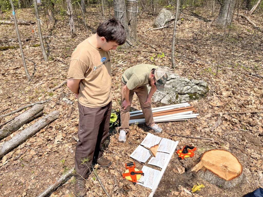 Two people on the edge of the forest looking at a set of plans on the ground