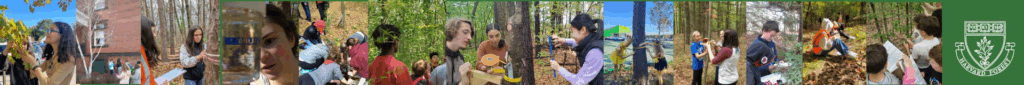 Image shows a collage of very small Schoolyard Ecology pictures